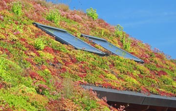 West Street living roof systems